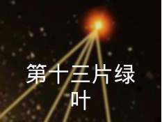第十三片绿叶 