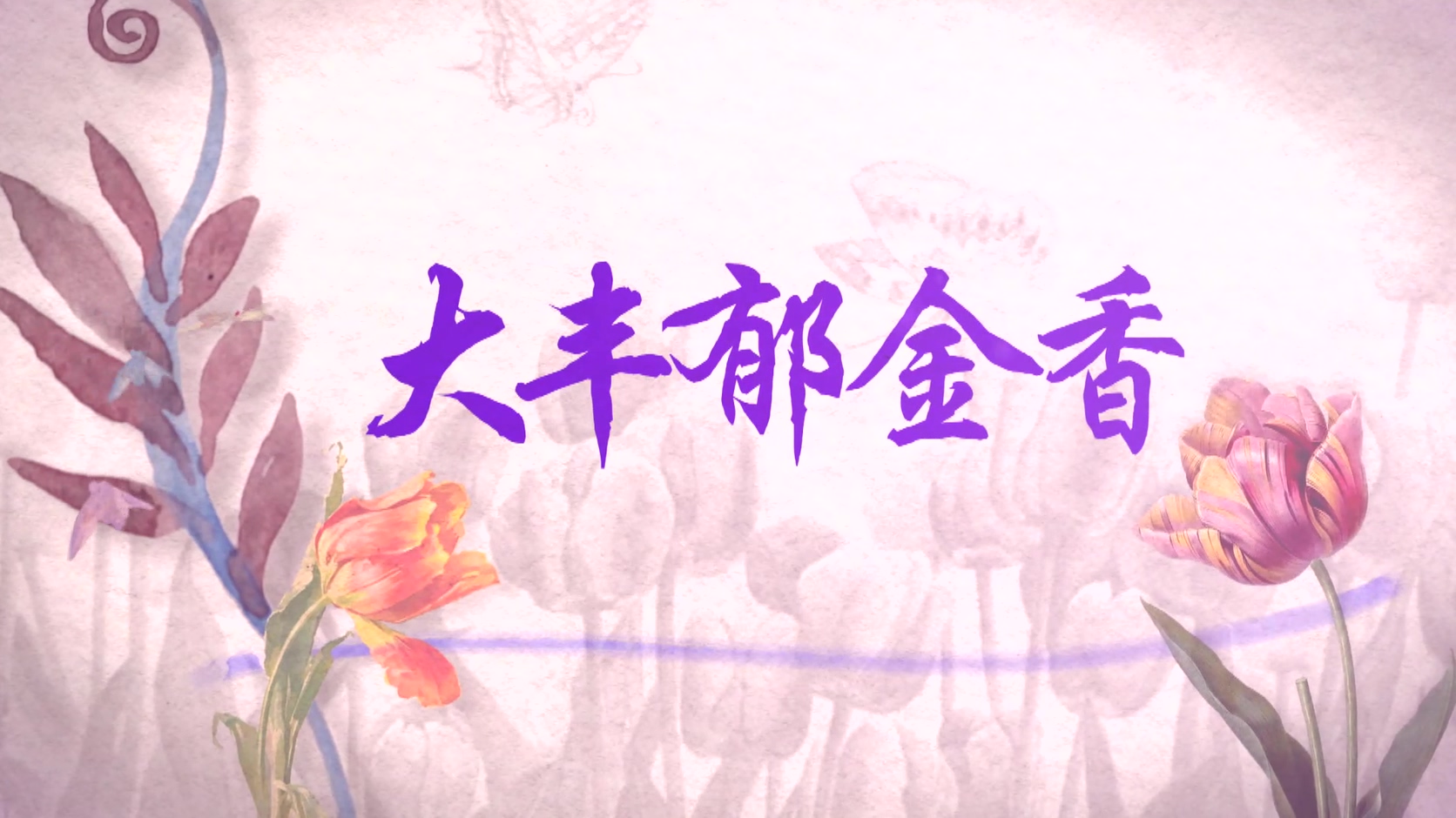大丰郁金香