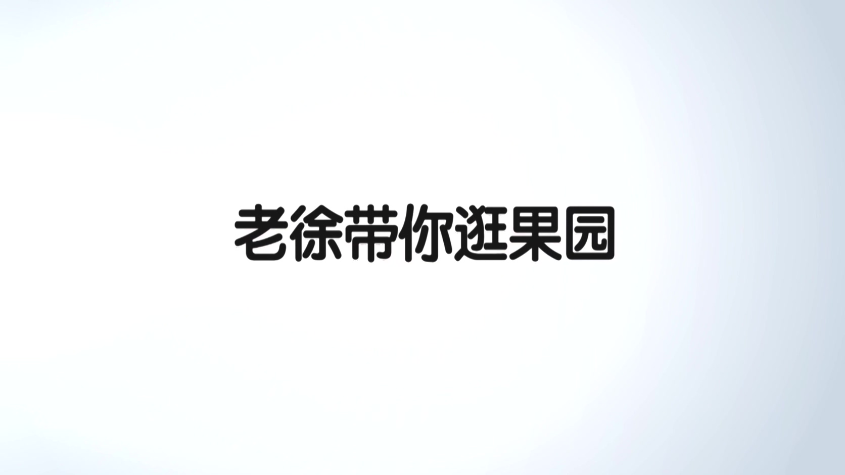 老徐带你逛果园-苹果起苗