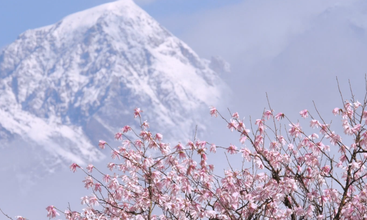 蜀山之王