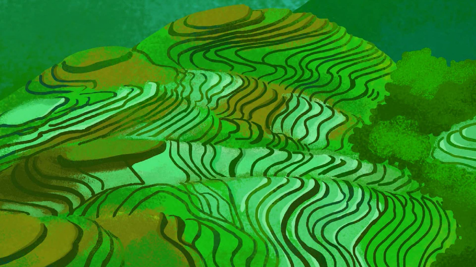 可可小爱之绿水青山共享共建
